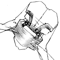 �G�~���I�̂����聙�i���j