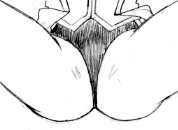 ���W�[�i�c�c